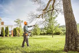 Best Tree Disease Treatment  in Hiller, PA